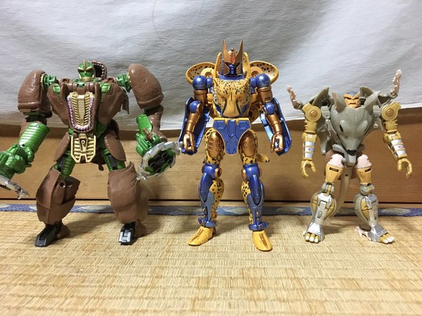 MP 34 Cheetor In Hand Pictures Of Beast Wars Masterpiece Figure 14 (14 of 23)